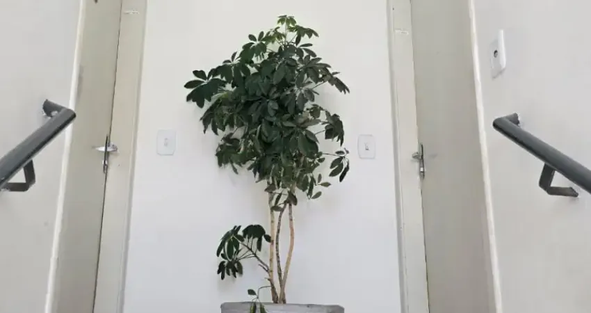 Casa em condomínio fechado com 2 quartos para alugar na Estrada dos Fischer'S, 1920, Jardim Sandra, Cotia