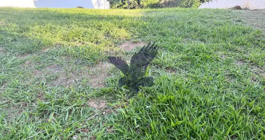 Terreno em condomínio fechado à venda na Avenida Araçá, 280, Loteamento Alphaville Campinas, Campinas