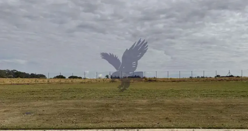 Terreno em condomínio fechado à venda na Avenida Haras Patente, 000, Residencial Haras Patente, Jaguariúna