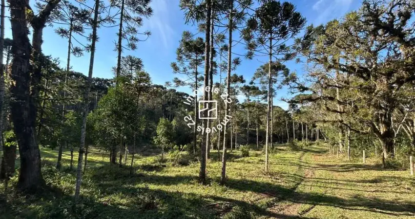 Chácara / sítio à venda na Avenquinha, Campo Alegre