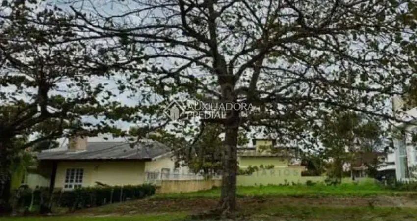 Terreno comercial à venda na Avenida dos Búzios, 64, Jurerê Internacional, Florianópolis