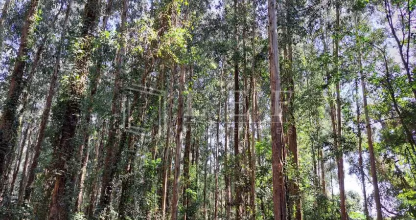 Fazenda à venda na FAZENDA Fazenda  Santo Antônio, --, Centro, Joanópolis