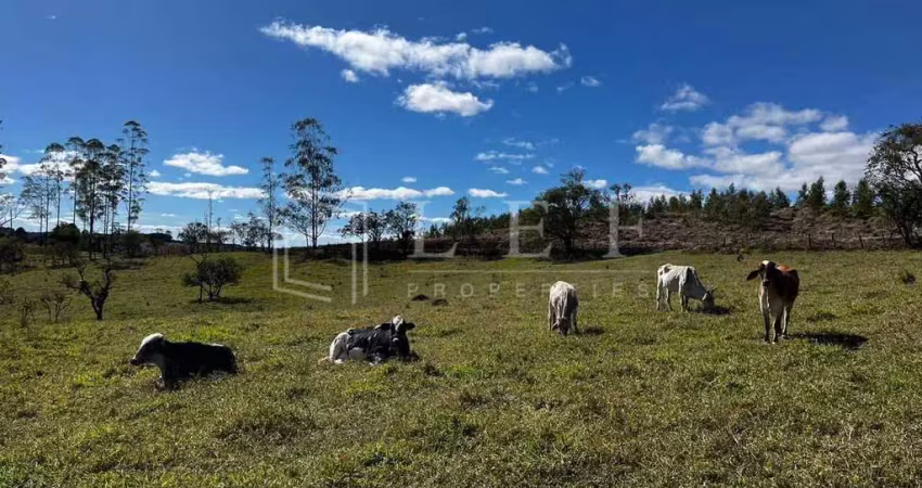 Fazenda à venda na FAZENDA Fazenda Pilar do Sul, --, Centro, Pilar do Sul