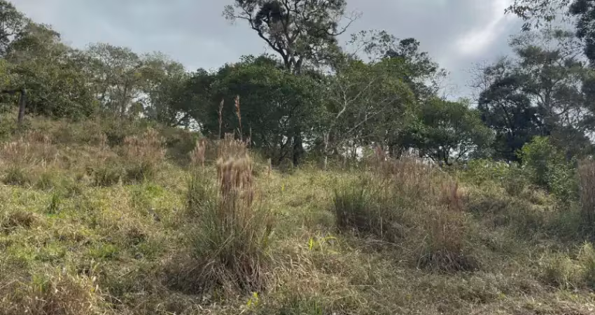 Terreno com excelente topografia ideal para construção de chácara