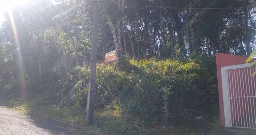 Imóvel para venda tem 550 metros quadrados em barreirinha - curitiba - pr