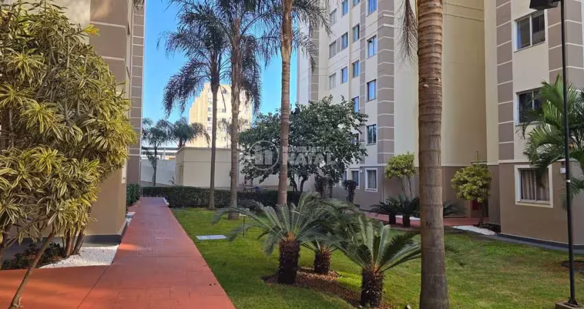 Apartamento com 2 quartos à venda na Creusa Pereira Campos, 275, Gleba Fazenda Palhano, Londrina