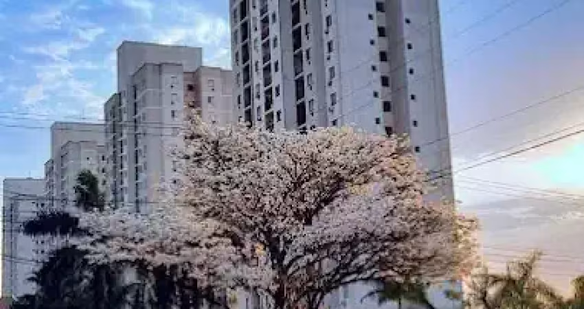 Apartamento no condomínio residencial bela vista, bairro rita vieira