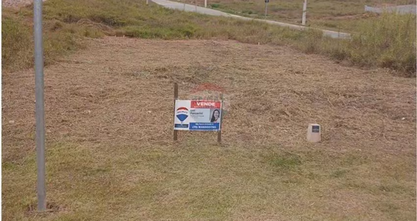 Terreno dos sonhos, totalmente plano, no reserva bellano!