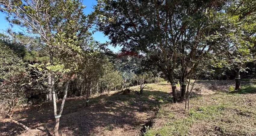 Terreno à venda no Vale Esmeralda, Jarinu 
