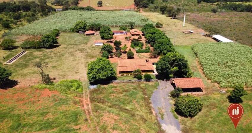 Fazenda com 3 dormitórios à venda, 450000 m² por r$ 2.500.000,00 - lagoa do peixe - morro da garça/mg