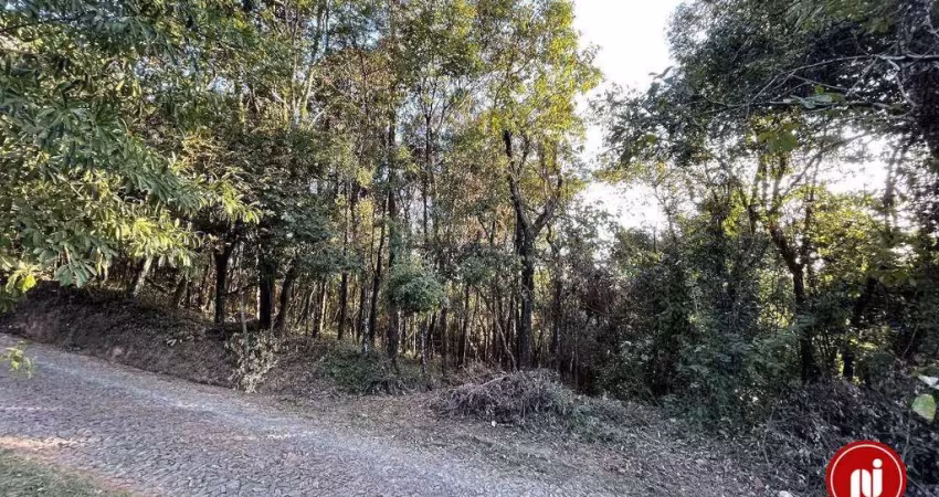 Terreno à venda, 1000 m² por r$ 180.000,00 - condomínio da aldeia da cachoeira das pedras - brumadinho/mg