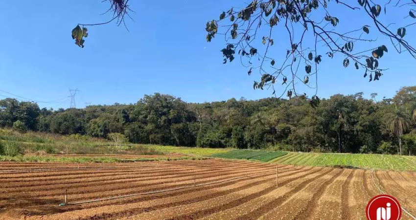 Terreno à venda, 809 m² por r$ 200.000 - ?santa rosa - sarzedo/mg