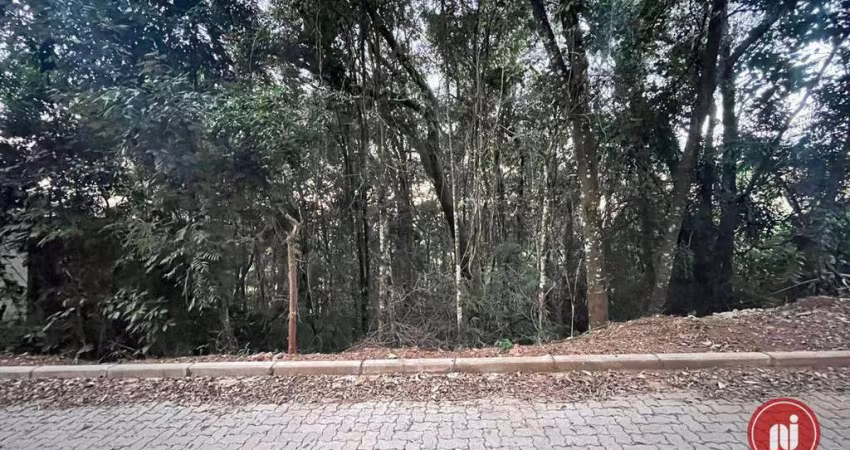 Terreno à venda, 2240 m² por R$ 350.000,00 - Condomínio Passárgada - Nova Lima/MG