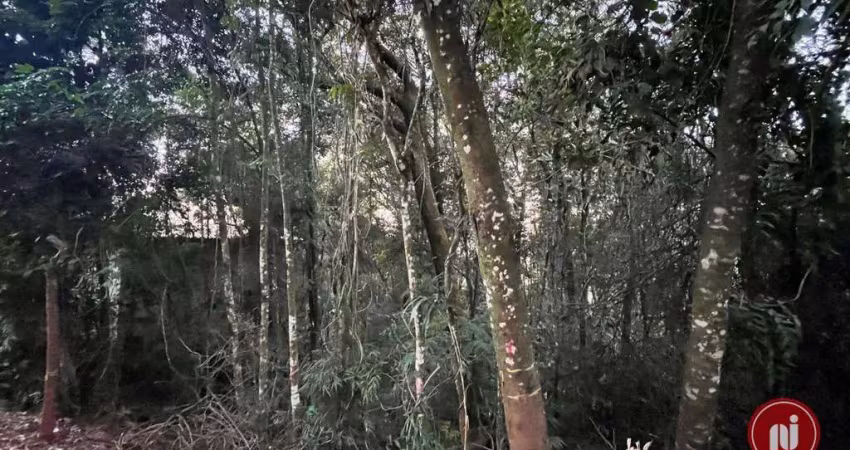 Terreno à venda, 2240 m² por r$ 350.000,00 - condomínio passárgada - nova lima/mg