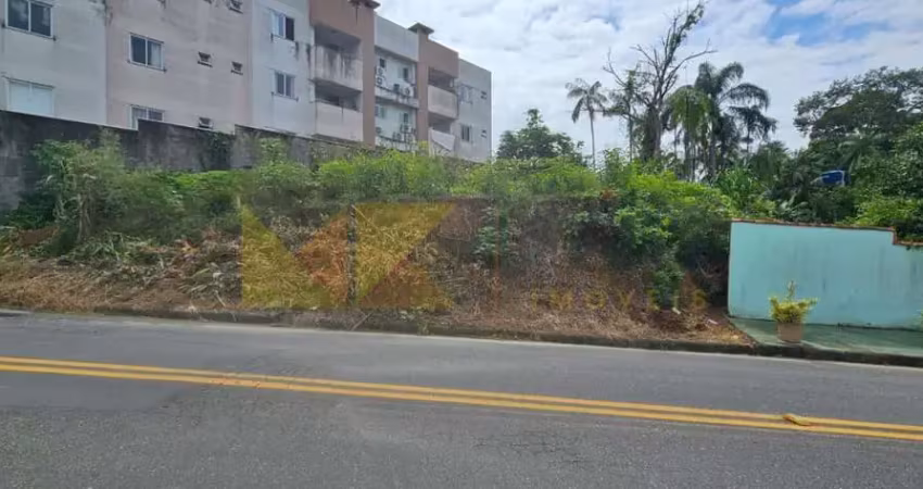 Terreno comercial à venda na Rua Arthur Mantau, Passo Manso, Blumenau