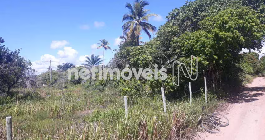 Terreno à venda na Rua José Melo Pirajá, Barra Grande, Maraú