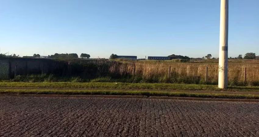 Lote/terreno para venda com 30816 metros quadrados em ipê - são josé dos pinhais - pr