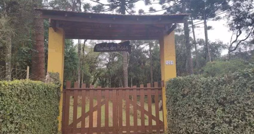 Chácara / sítio com 3 quartos à venda na Rua Isídio Alves Ribeiro, 1201, Planta Meireles, Piraquara
