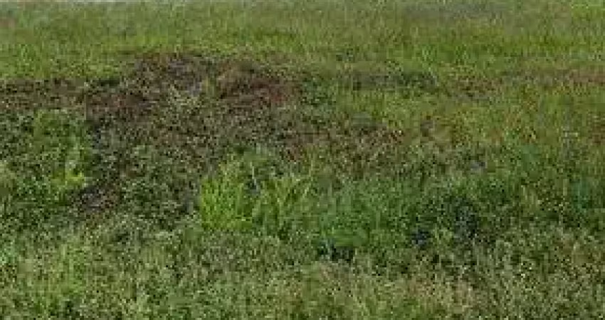 Vivendas da mata - ótimo terreno plano no vivendas da mata