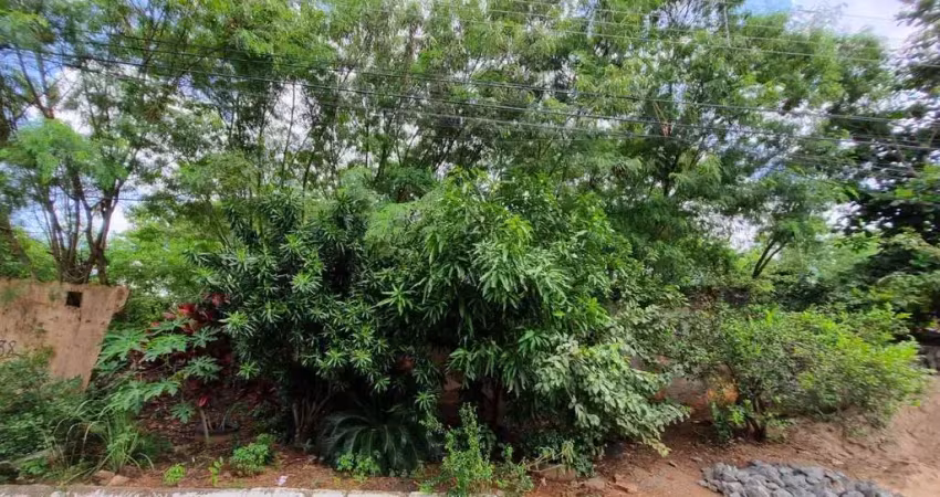 Terreno à venda, 600 m² por r$ 250.000,00 - vila monticelli - goiânia/go