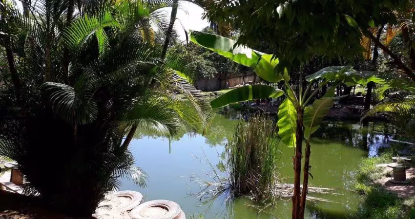 Terreno comercial à venda no Trevo, Belo Horizonte 