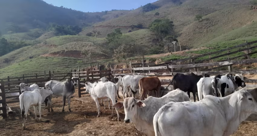 Chácara / sítio à venda na Praça Deputado A. S. Cunha Bueno, Zona Rural, Monteiro Lobato