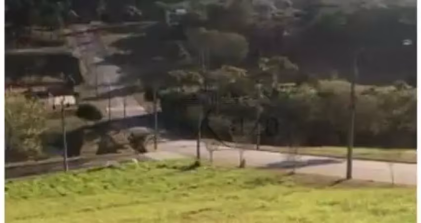 Terreno comercial à venda na Rua Bromelia, Recanto Santa Barbara, Jambeiro