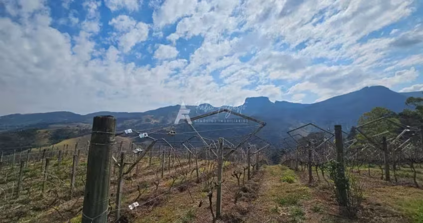 Fazenda e vinícola dos sonhos - fazenda e vinícola dos sonhos natureza e charme em harmonia