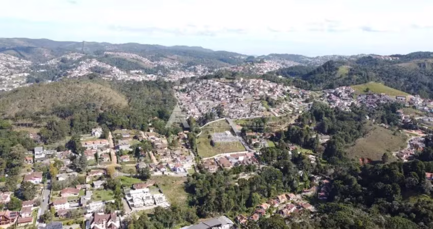 Excelente oportunidade - excelente oportunidade de terrenos em condomínio em campos do jordão