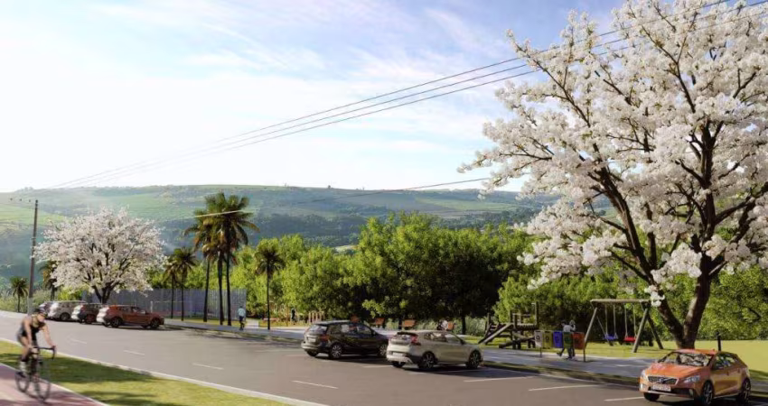 Lote Belvedere Laranjeiras