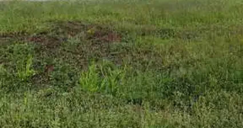 Terreno à venda no Portal da Mata, Ribeirão Preto 