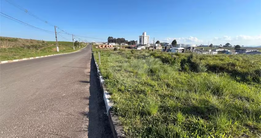 Terreno à venda na Irmão Joaquim, Tributo, Lages