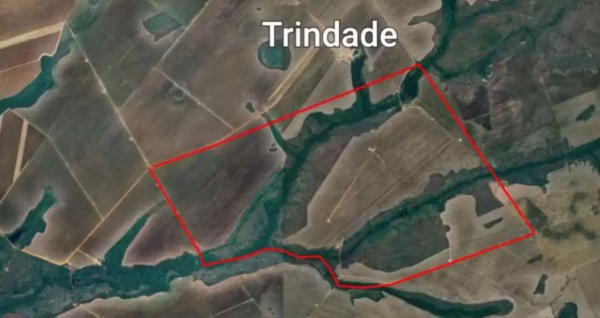 Fazenda à venda ideal para plantio a apenas 10 km de silvanópolis - to