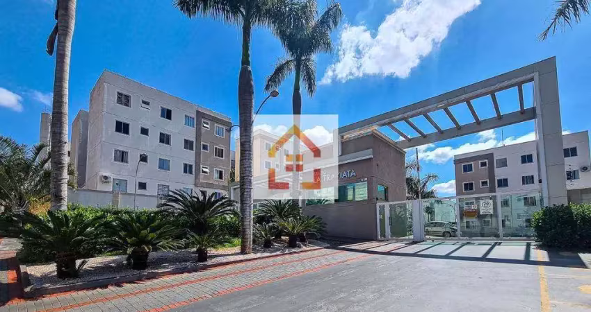 Apartamento à venda em londrina, olímpico, com 2 quartos, com 41 m², spazio la traviata