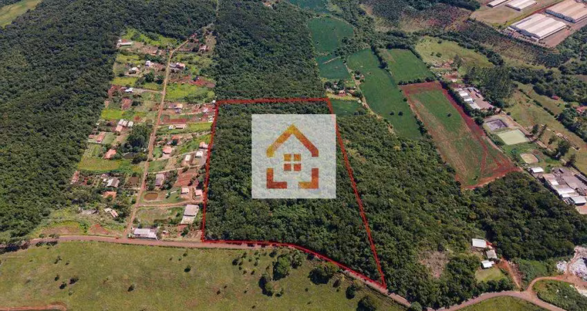 Terreno comercial à venda na Rua Pr 445, Área Rural de Londrina, Londrina