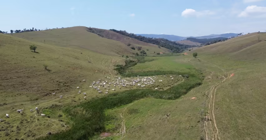 Fazenda à venda na Avenida Tomaz Alves de Figueiredo, 10000, Área Rural de Lorena, Lorena