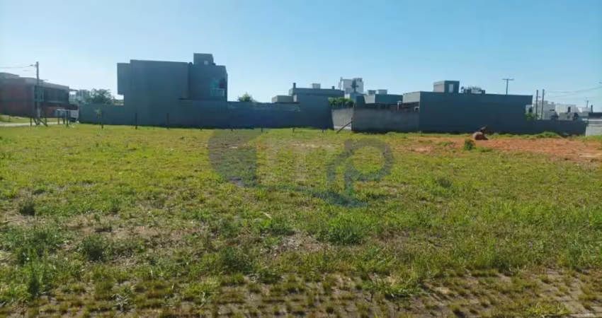 Onde a cidade encontra a natureza: morada das palmeiras em torres
