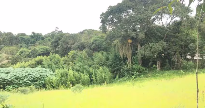 Ibiúna; “4.282,00m2', uma bela área não concorda?pode ser usado como terreno comercial, p/barracão +