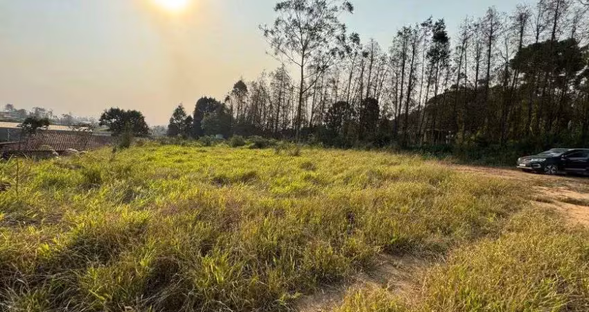 Ibiúna; espetáculo de terreno com; '2.442,00m2' ;uma bela área não concorda? terraplanagem já pronta