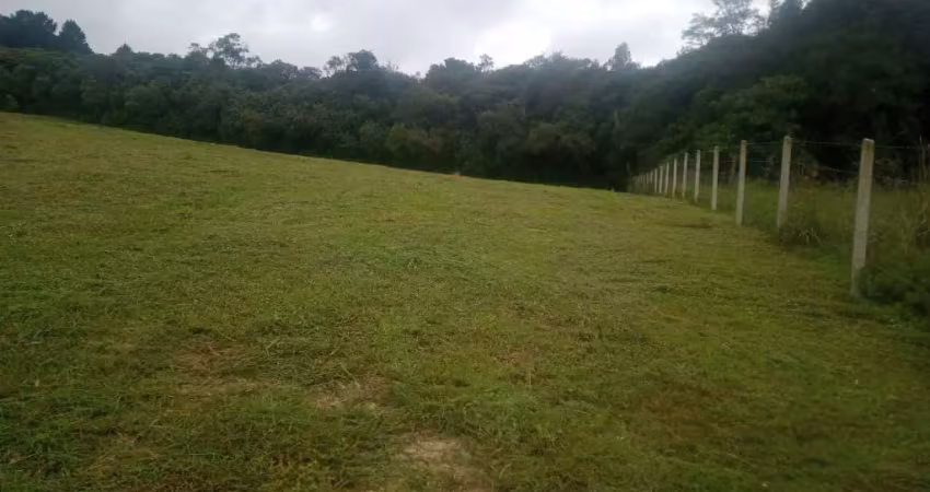 Chácara, 34.570 m², à venda por R$ 490.000 Contenda - São José dos Pinhais/PR