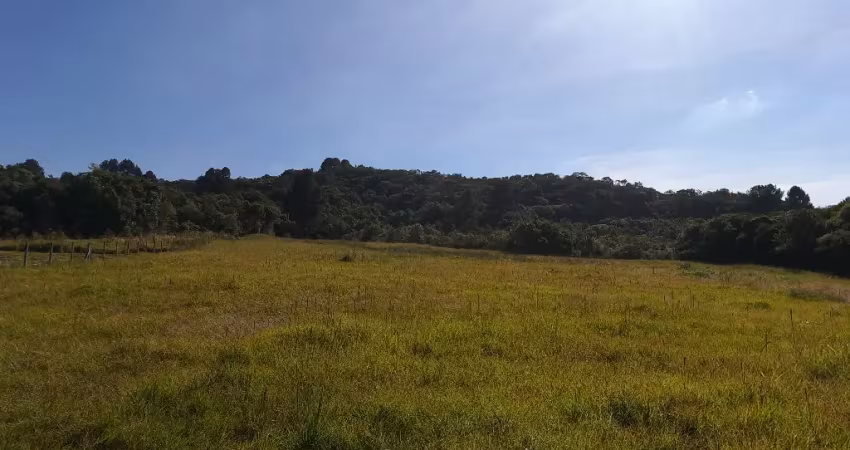 Chácara, 34.570 m², à venda por R$ 490.000 Contenda - São José dos Pinhais/PR