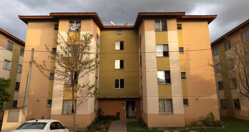 Apartamento com 2 quartos, 43 m², à venda por R$ 230.000 Colônia Rio Grande - São José dos Pinhais/PR