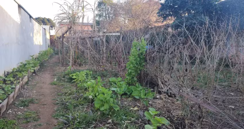 Terreno zr3, plano com 462 m², à venda por r$ 550.000 costeira - são josé dos pinhais/pr