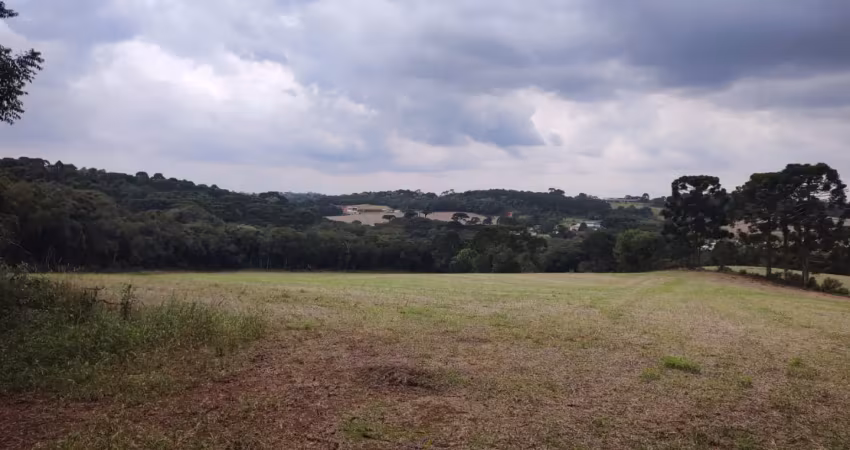 Área para loteamento, 154.483 m², à venda por r$ 11.000.000 colônia zacarias - são josé dos pinhais/pr