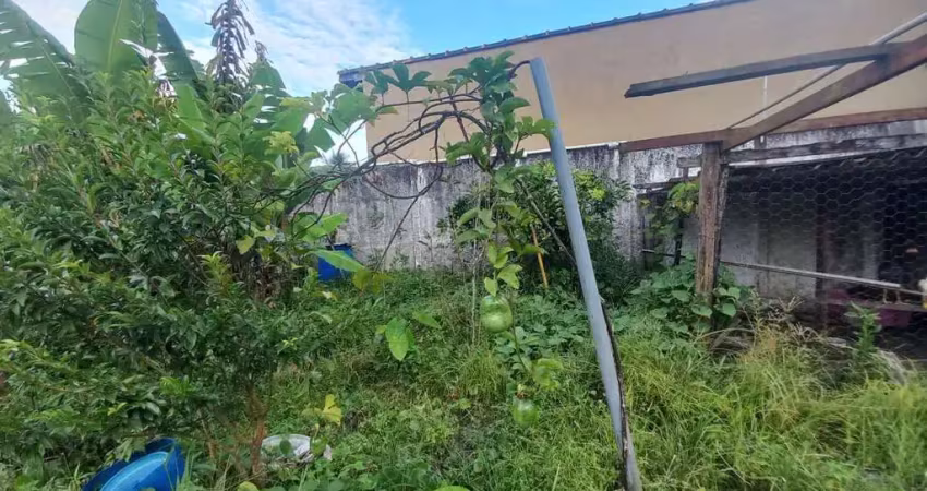 Chácara com 3 dormitórios, 1000 m² - venda por r$ 550.000.000,00 ou aluguel por r$ 300.000,00/mês - jardim prados - peruíbe/sp