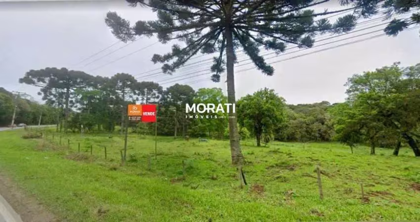 Chácara / sítio à venda no Lagoinha, Tijucas do Sul 