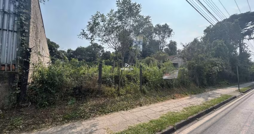Terreno Comercial à venda - Boneca do Iguaçu - São José dos Pinhais/PR