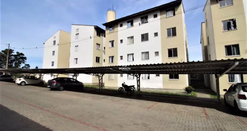 Apartamento com 2 quartos à venda em Braga, São José dos Pinhais 