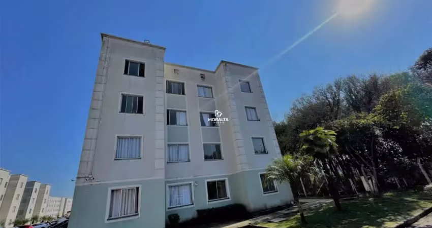 Apartamento 02 dormitórios no bairro costeira  - araucaria