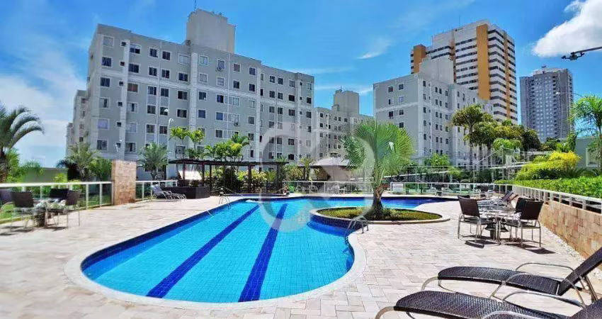 Apartamento com 2 quartos para alugar na Rua Reverendo João Batista Ribeiro Neto, Gleba Fazenda Palhano, Londrina